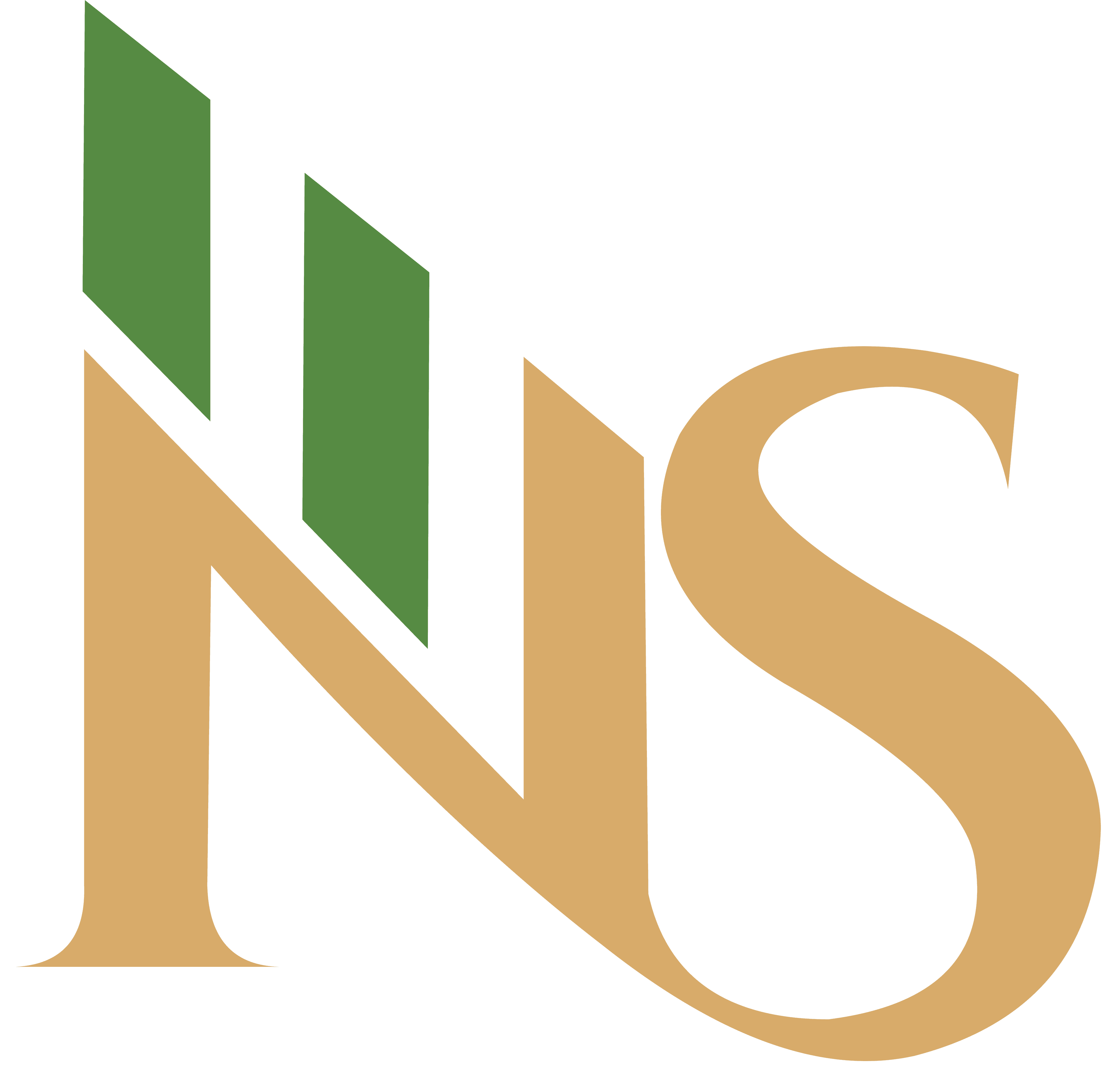 NEW SOLUTIONS GROUP